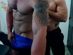 gays gay muscle gay webcam gay 