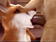 A Fox in The Stable | porn film N7823110