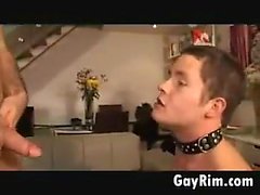 pompino gay gays gay group sex gay hunks gay 