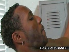 de jd daniels a justin de lame gayblackbangers noir ébène 