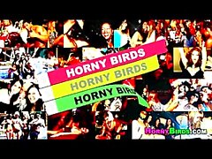 Horny Birds Office - Horny_birds