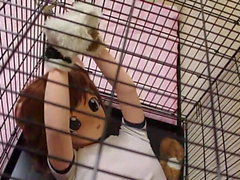 Kigurumi dog in cage, bondage and breathplay.