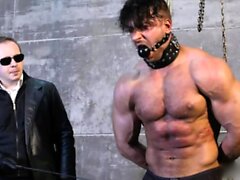 de bdsm gay gay la cara gay fetish gays gays 