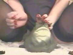 catherine froggy toy vibrator pals